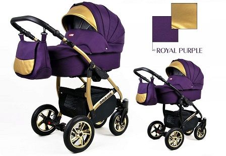 Raf-pol Baby Lux Gold Lux 2022 Royal purple + u nás ZÁRUKA 3 ROKY