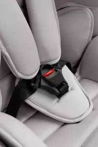 Caretero Falcon i-Size 2025 ⭐⭐⭐⭐⭐ Fresh Grey + u nás ZÁRUKA 3 ROKY a KAPSÁŘ ZDARMA
